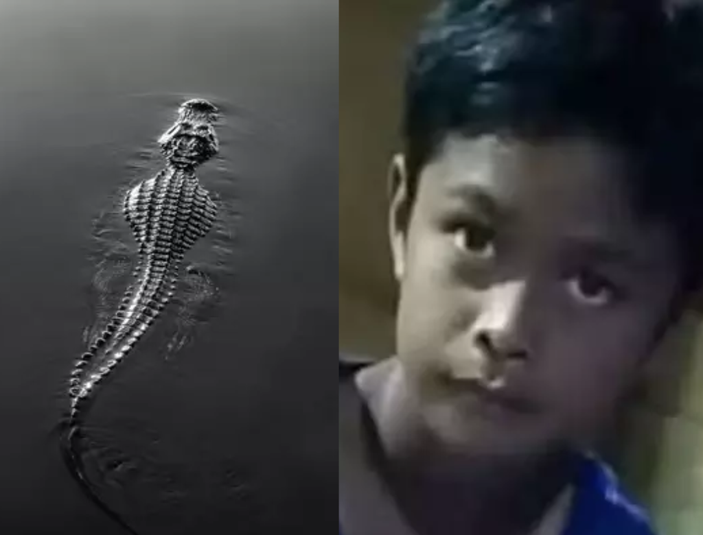 Menino de 13 anos é morto por crocodilo ao tentar recuperar bola na Indonésia (Foto Reprodução Redes Sociais)