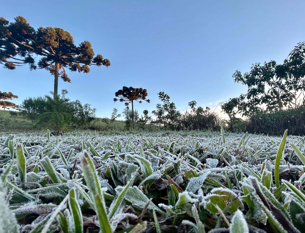Frio (foto Reprodução Redes Sociais) 4