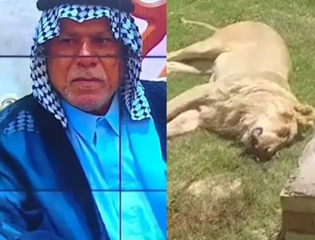 Homem é Morto Por Leão Que Ele Tentava Domesticar (foto Reprodução Redes Sociais)
