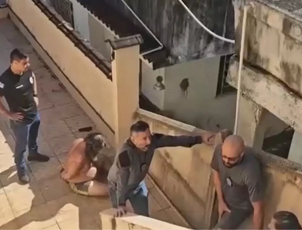 Irmãos (foto Reprodução Redes Sociais) 3