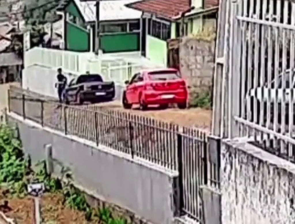 Onça (foto Reprodução Redes Sociais) 1