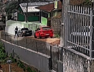 Onça (foto Reprodução Redes Sociais) 2