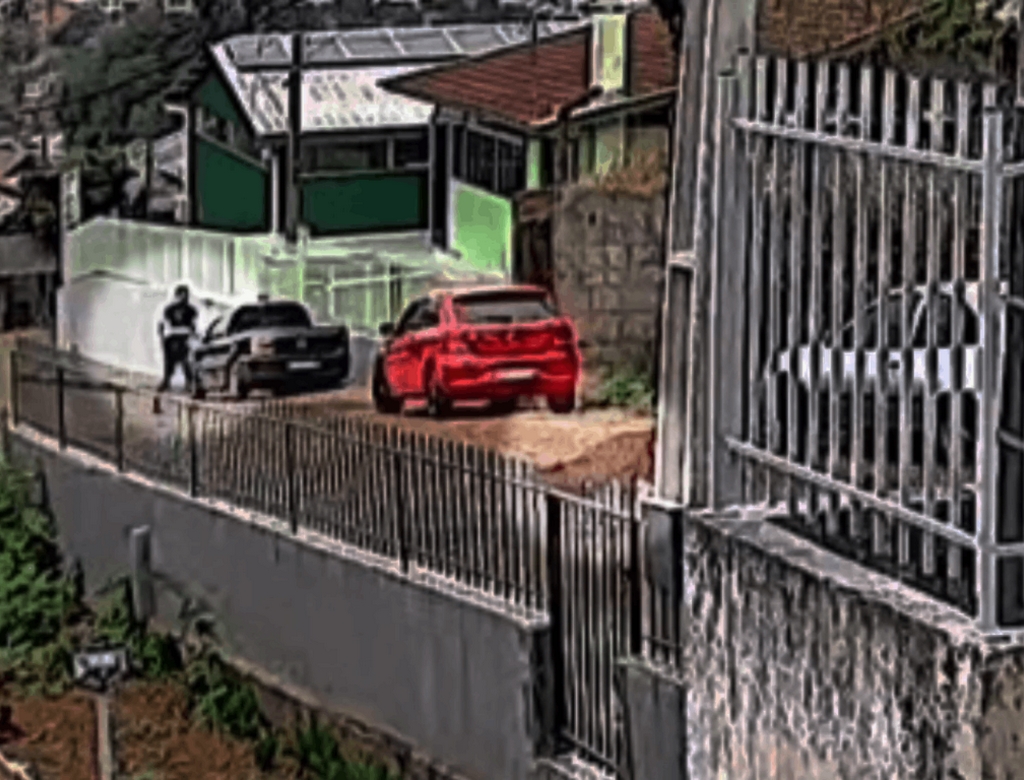 Onça (foto Reprodução Redes Sociais) 2