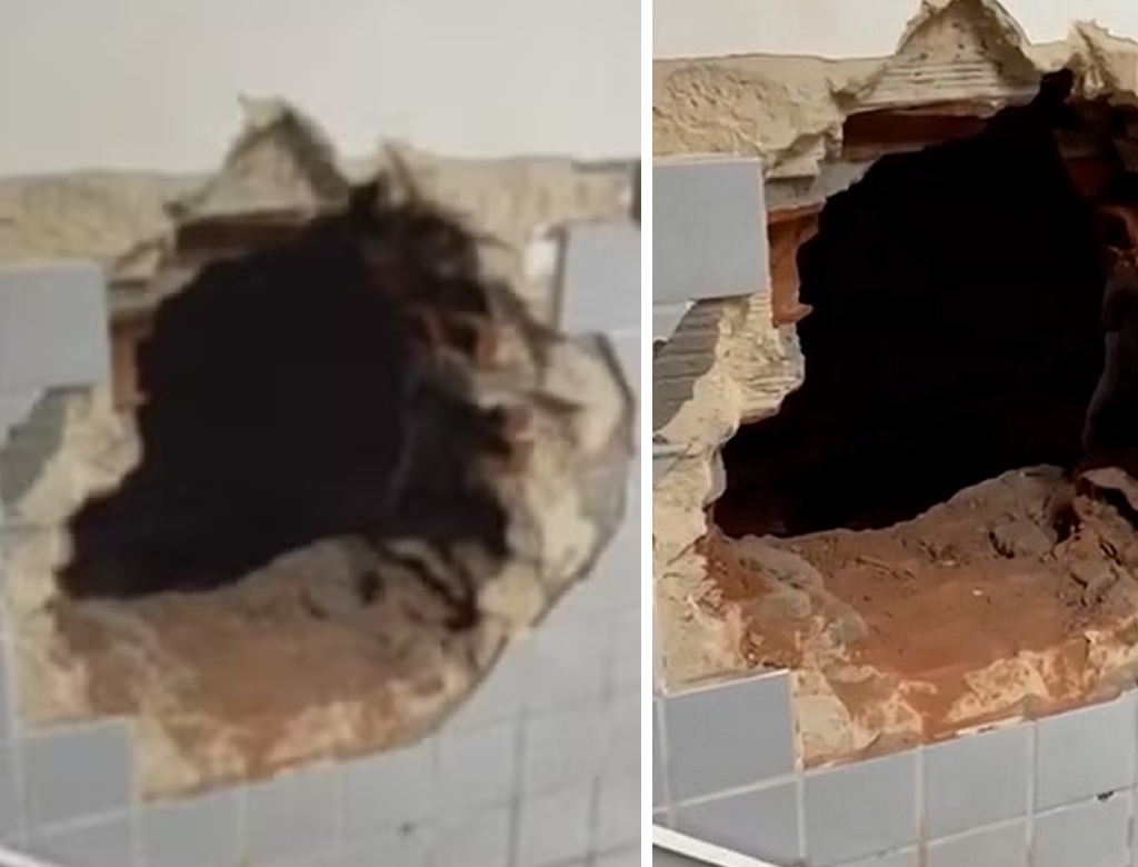 Roubo (foto Reprodução Redes Sociais) 2