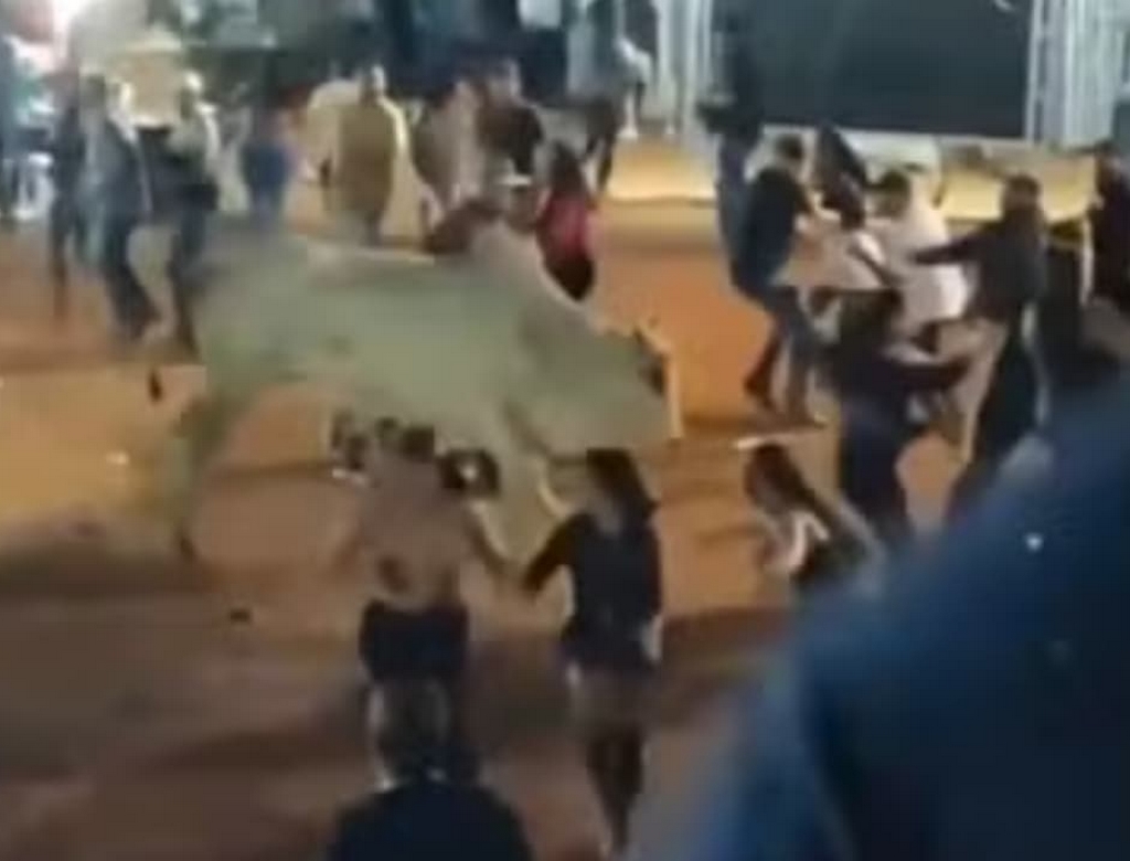 Touro (foto Reprodução Redes Sociais) 1