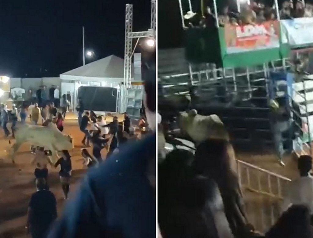 Touro (foto Reprodução Redes Sociais) 2