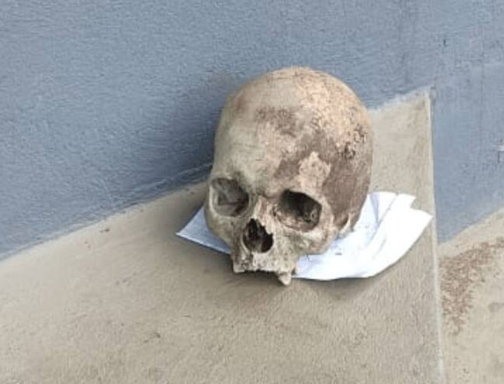 Brasil Cranio Carta Maranhao 1708505014(1)