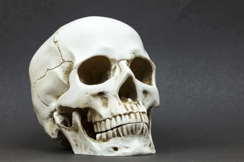 Cranio Humano