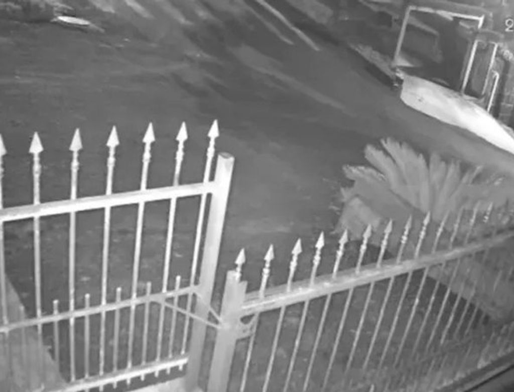 Crianca Morre Bicicleta Widelg(1)