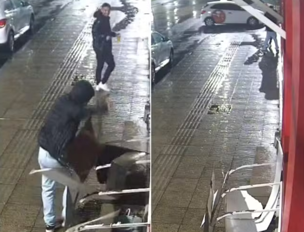 Homem destrói abrigo de animais de rua em SC (Foto Reprodução Redes Sociais)