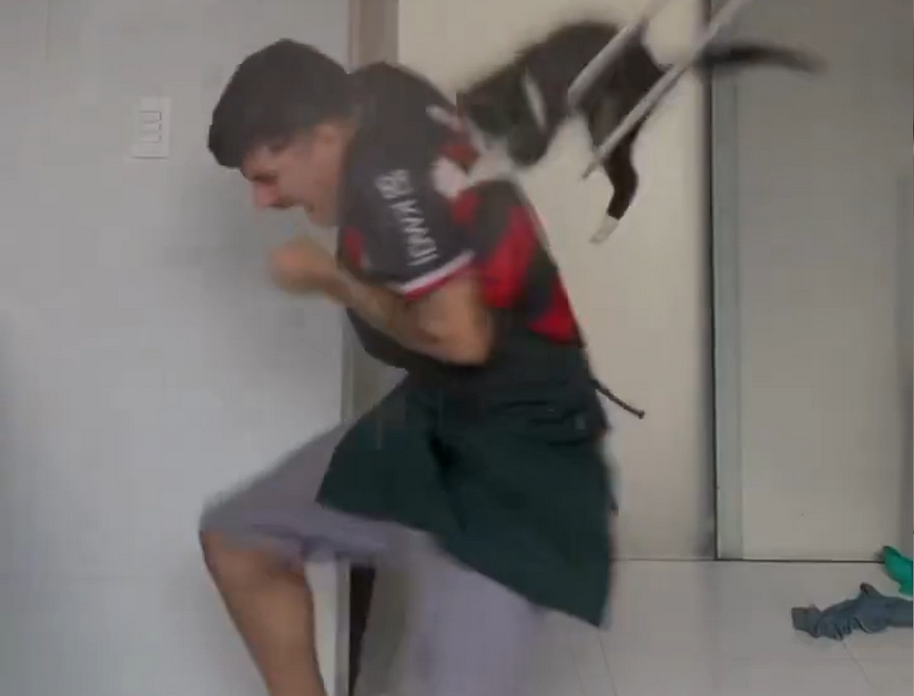 Gato (foto Reprodução Redes Sociais) 1