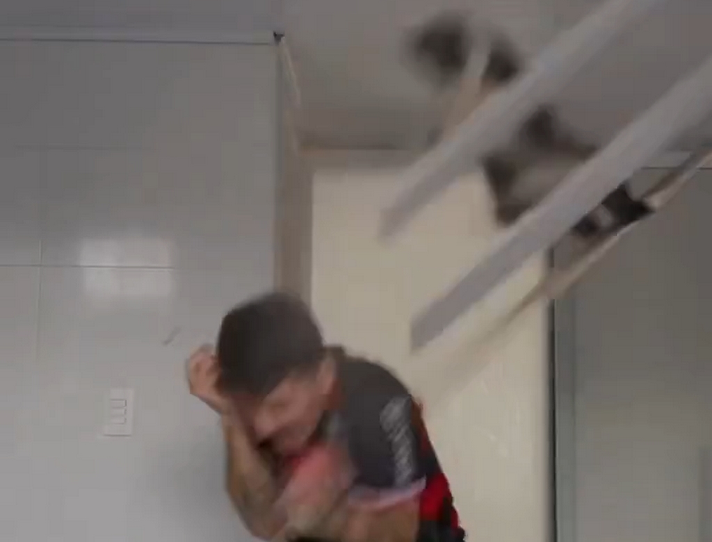 Gato (foto Reprodução Redes Sociais) 3