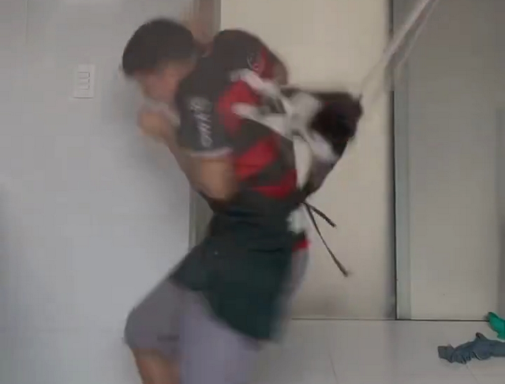 Gato (foto Reprodução Redes Sociais) 45