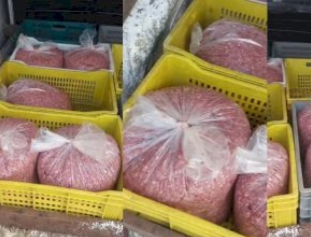 Carne (Foto Reprodução Redes Sociais)