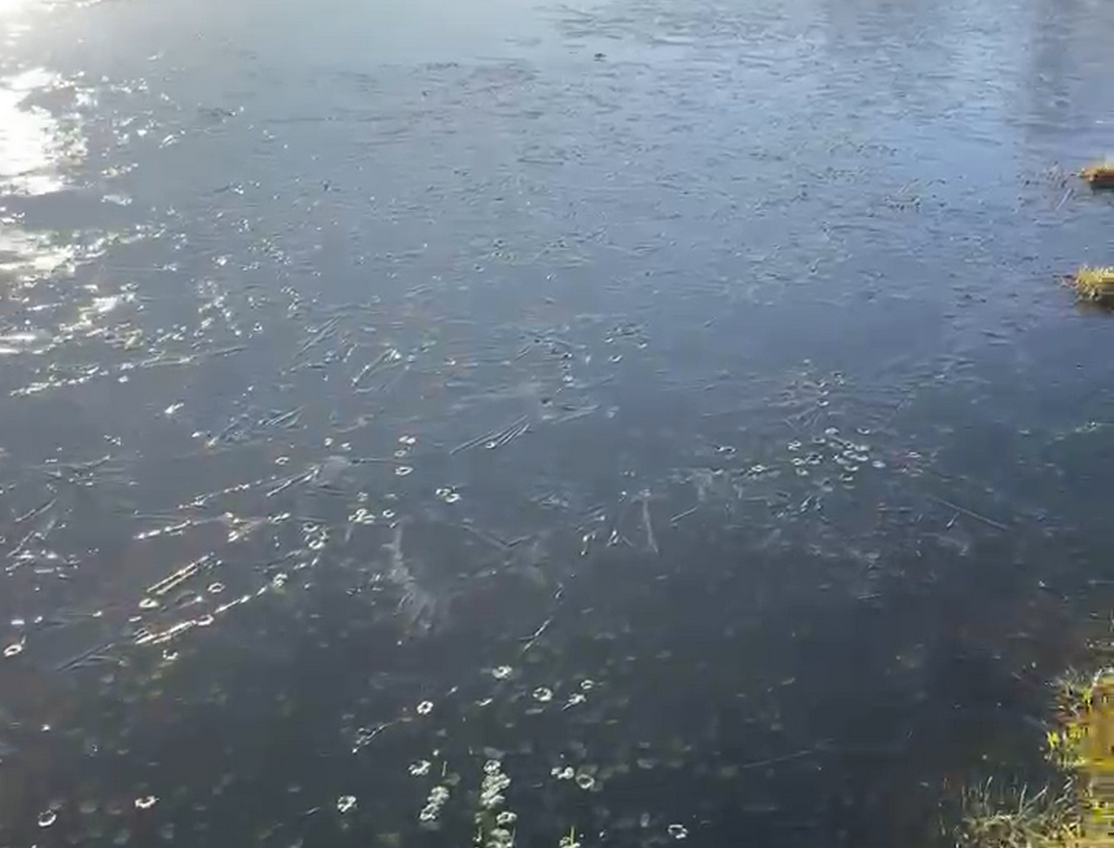 Lago (foto Reprodução Redes Sociais) 1