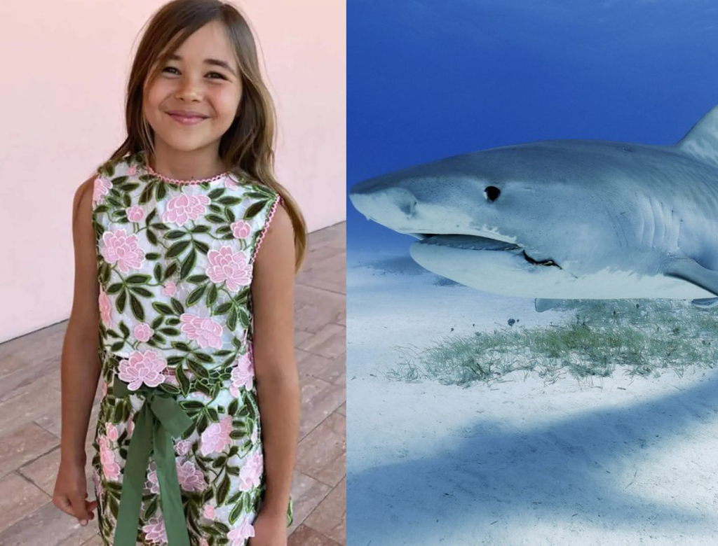 Menina é Atacada Por Tubarão, Luta E Sai Viva Em Praia Nos Eua (foto Reprodução Redes Sociais)