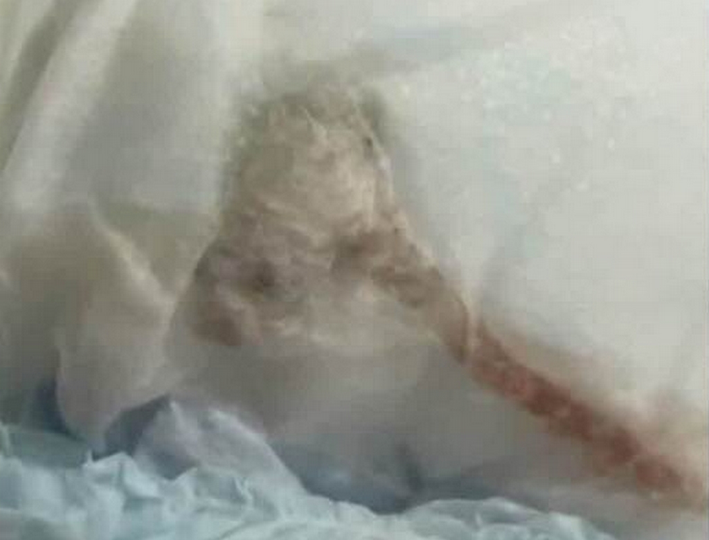Rato (foto Reprodução Redes Sociais) 1