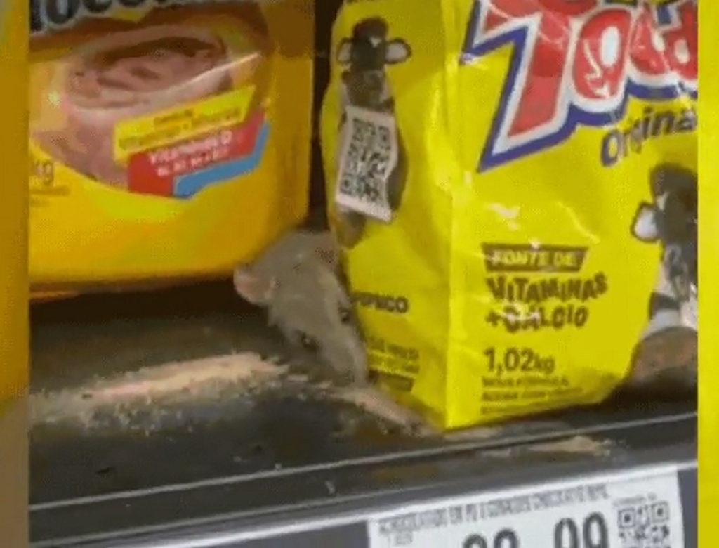 Rato (foto Reprodução Redes Sociais) 1