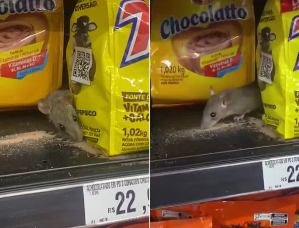 Rato (foto Reprodução Redes Sociais)
