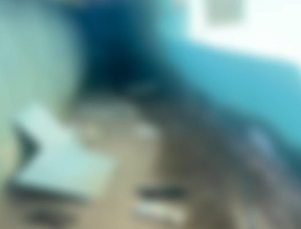 Coelhos (foto Reprodução Redes Sociais) 1