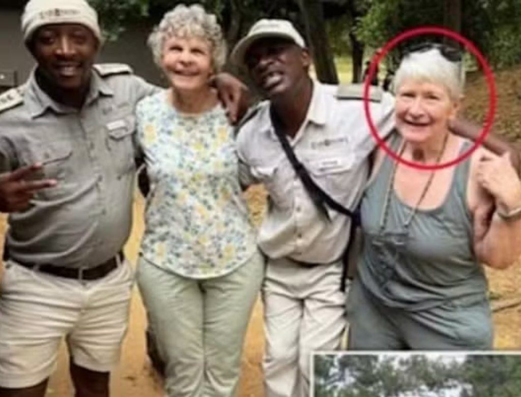Duas turistas morrem após ataque de elefanta durante safári na África (Foto Reprodução Redes Sociais)