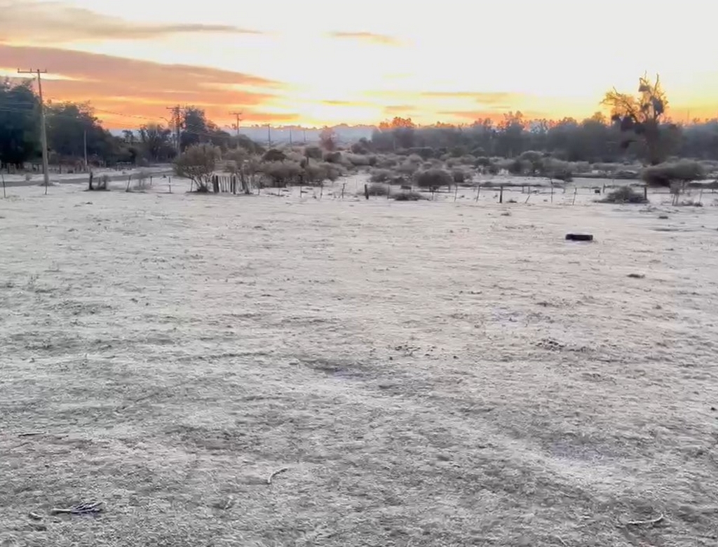 Frio (foto Reprodução Redes Sociais) 1