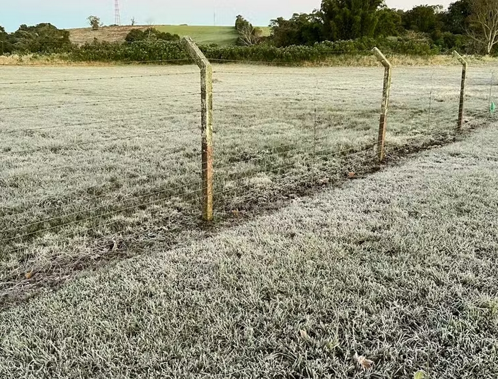 Frio (foto Reprodução Redes Sociais) 2