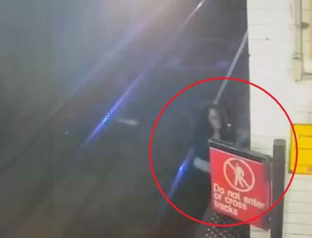 Mulher Morre Após Ser Atropelada Ao Descer Aos Trilhos Do Metrô Para Urinar (foto Reprodução Redes Sociais)