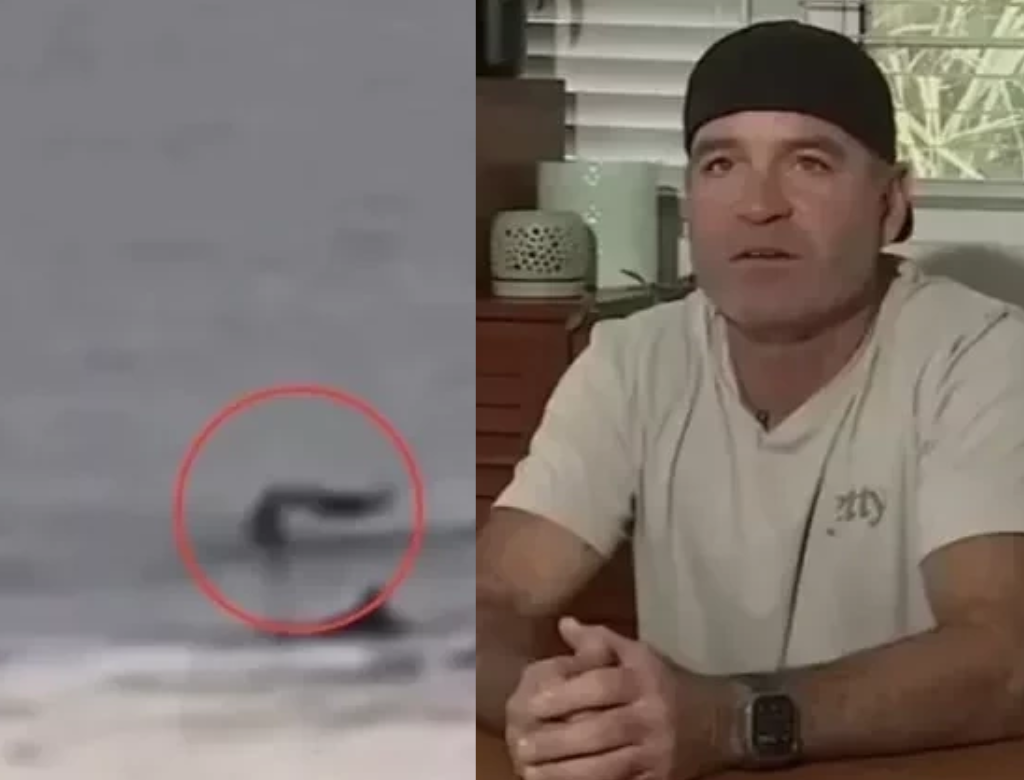 Tubarão Salta E Derruba Surfista De Prancha Em Praia Na Flórida (foto Reprodução Redes Sociais)